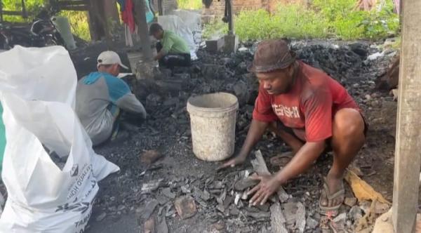 Jelang Idul Adha Produsen Arang Kayu di Tuban Laris Manis Kebanjiran Pesanan 
