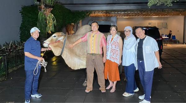 Kisah Matilda, Sapi Penarik Gerobak yang Berubah Nasib di Tangan Hartono Soekwanto