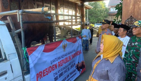 Idul Adha, Presiden Prabowo Beri Sapi Jumbo ke Masjid Tertua dan Bersejarah di Ponorogo