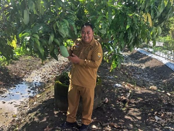 Siap Siap, Grobogan Agro Expo 2026 Digelar Mulai 3 Juni, Tampilkan Inovasi dan Teknologi Pertanian
