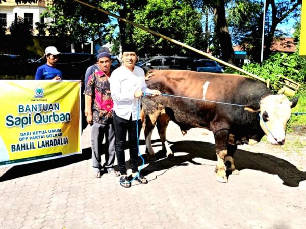 Golkar NTB Potong 5 Sapi Kurban, Bantuan Bahlil Lahadalia dan Sari Yuliati Jadi Sorotan