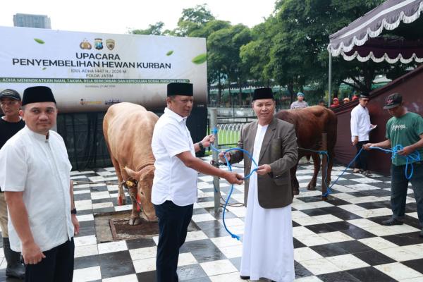 Polda Jatim Salurkan 127 Sapi dan 22 Kambing Kurban untuk Masyarakat