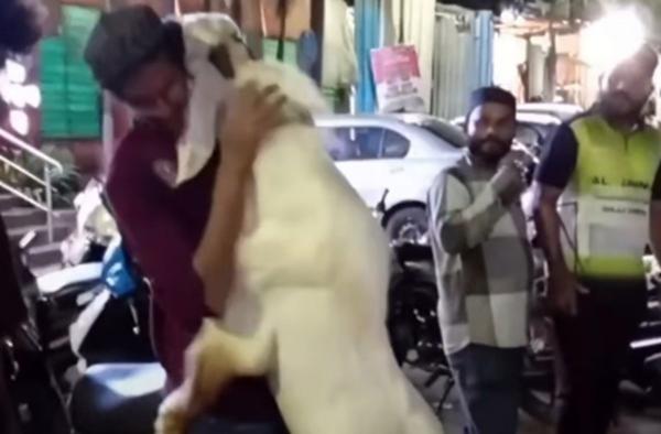 Bikin Mewek! Detik-Detik Kambing Kurban Menangis dan Peluk Pemiliknya Jelang Iduladha