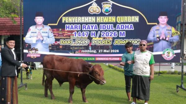 Borong 39 Hewan Kurban, Polres Jombang Salurkan Sapi dan Kambing Usai Salat Id