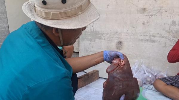 Pastikan Daging Kurban Layak Dikonsumsi, DKPP Kota Kediri Lakukan Sidak