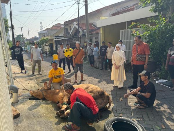 Ekonomi Masyarakat Tertekan, Politis Golkar Salurkan Hewan Kurban untuk Warga Surabaya dan Sidoarjo