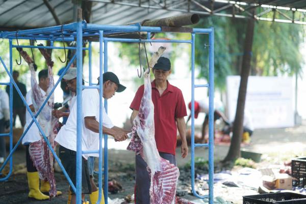 Rayakan Idul Adha, Danareksa Salurkan Hewan Kurban ke Tujuh Kelurahan di Surabaya