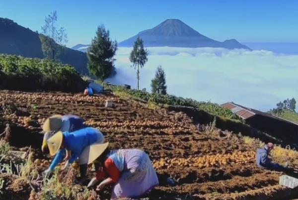 Patakbanteng di Lereng Prau Disiapkan Jadi Desa Wisata Berkelanjutan