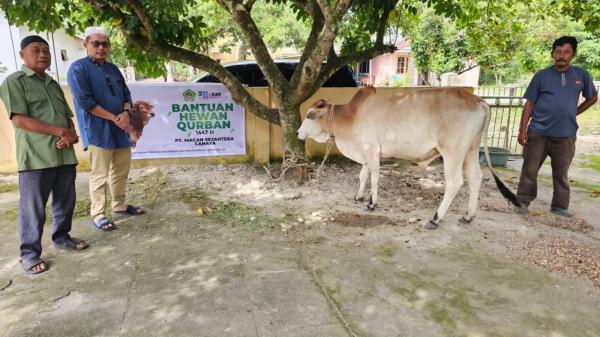 Bukan Cuma Sumut, Warga di Wilayah Ini Juga Kecipratan Bantuan Kurban!