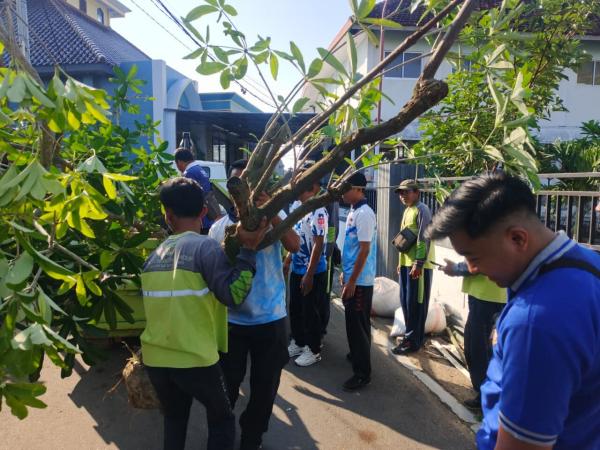 Hijaukan Situs Bersejarah, Kompleks Makam Kanjeng Soemantri Kini Lebih Teduh dengan 20 Pohon Pule