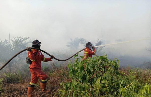 Karhutla Pasir Limau Kapas Padam, Kini Petugas Fokus Gempur 44 Hektare Lahan di Rantau Bais