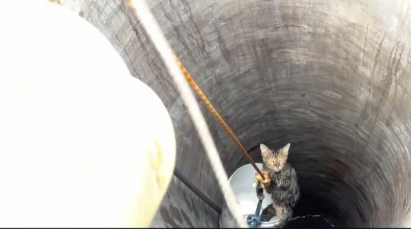 Drama Sumur 10 Meter: Detik-detik Menegangkan Damkar Tuban Selamatkan Kucing Terjebak
