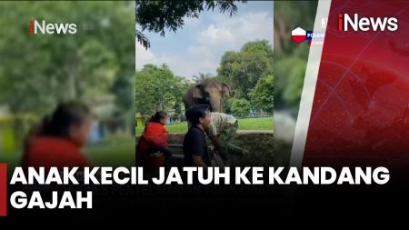 Viral Bocah Masuk Kandang Gajah Ragunan, Pengelola Curiga Sengaja Demi Konten