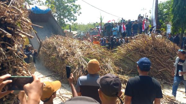 Petani Tebu Blora Kecewa, 18 Truk Muatan Tebu Ditumpahkan di Depan Pabrik Gula