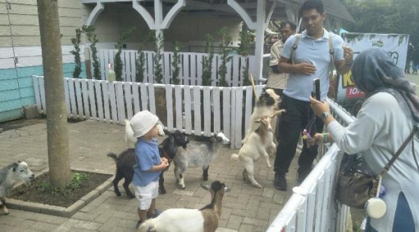 Libur Panjang Iduladha dan Waisak, Wisatawan ke Lembang Park and Zoo Naik 10%