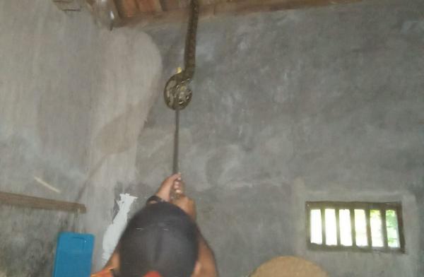 Meresahkan! Damkar Evakuasi 2 Ular Piton Berukuran Besar di Rumah Warga Ponorogo