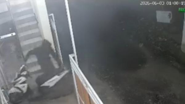 Tak Gentar Terekam CCTV, Maling Kembali Beraksi Gasak Motor di Kos-kosan Jombang