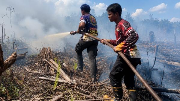 Tim Dalkarhutla Dishut Kalteng Berhasil Padamkan kebakaran Lahan 0,21 Hektare di Palangka Raya