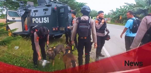 Tim K9 Polda Sulbar Dikerahkan Buru Pelaku Pembunuhan Istri di Mamuju Tengah
