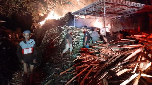 Gudang Pemotongan Kayu di Probolinggo Terbakar, Kerugian Ditaksir Capai Puluhan Juta
