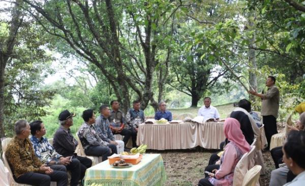Produksi Cengkeh Tembus 363 Ton per Tahun, Jombang Jadi Magnet Studi Tiru Daerah Lain