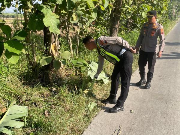 Pria Ditemukan Tewas di Pinggir Jalan Sumberlawang Sragen, Diduga Korban Tabrak Lari