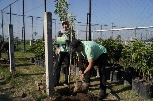 Tak Sekadar Bisnis, Pegadaian Turun ke Lereng Malang Tanam 240 Pohon untuk Masa Depan