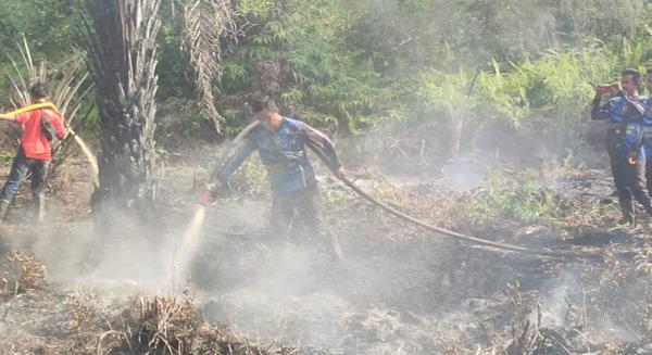Lagi, Dalkarhutla Dishut Kalteng Padamkan Kebakaran Lahan di Petuk Katimpun Palangka Raya
