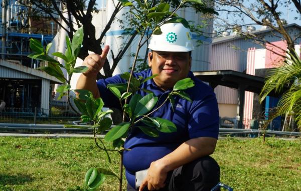 Sawo Kecik, Pohon Sarat Filosofi Jawa yang Kini Tumbuh di Kawasan Pembangkit Semarang
