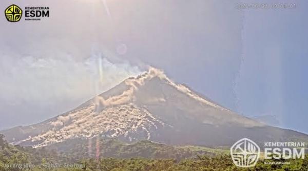 Gunung Merapi Meletus, Luncurkan Awan Panas Guguran Sejauh 2 Km