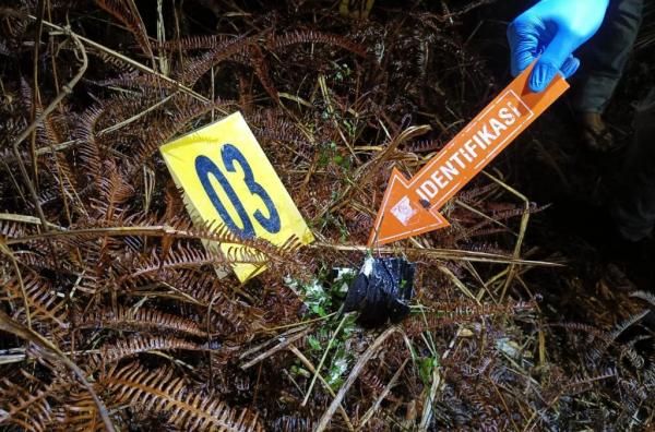Kabur ke Banten, Begal yang Sebabkan Pemanen Sawit Tewas di Pelalawan Ditangkap
