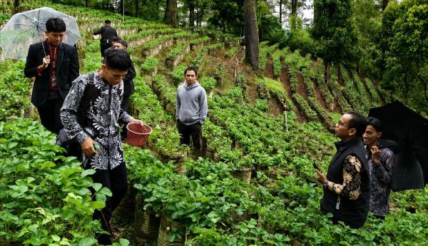 Menikmati Sejuknya Malino dari Zayn Strawberry, Destinasi Wisata yang Sedang Viral