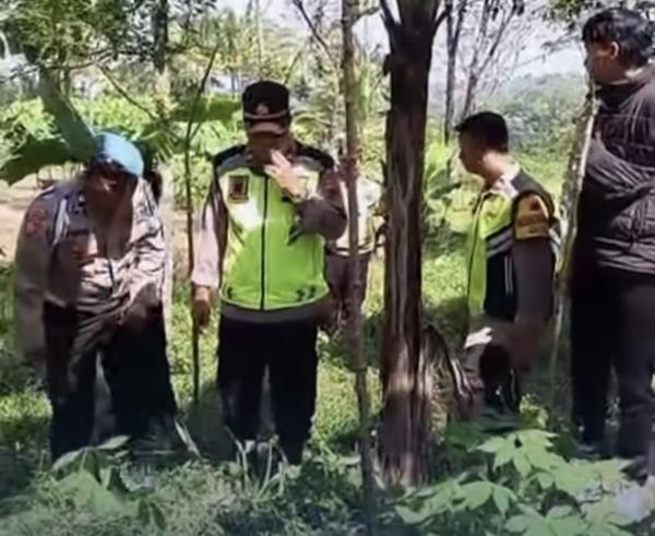 Polisi Ringkus Pelaku Pembacokan yang Tewaskan Kepala Dusun di Purbalingga