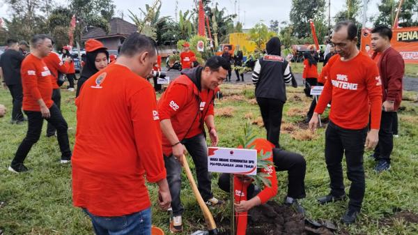Peringati Bulan Bung Karno Ratusan Kader PDIP Lumajang Tanam Seribu Pohon di Lereng Semeru