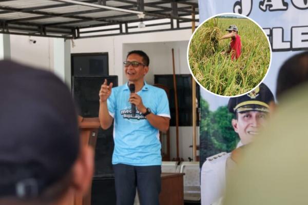 Produksi Padi 5,6 Ton Per Hektare, Purwosari Bojonegoro Punya Potensi Besar Sektor Pertanian