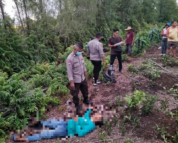 Pria Ditemukan Meninggal Dunia di Kebun Buah Kalampangan Palangka Raya, Polisi Lakukan Penyelidikan