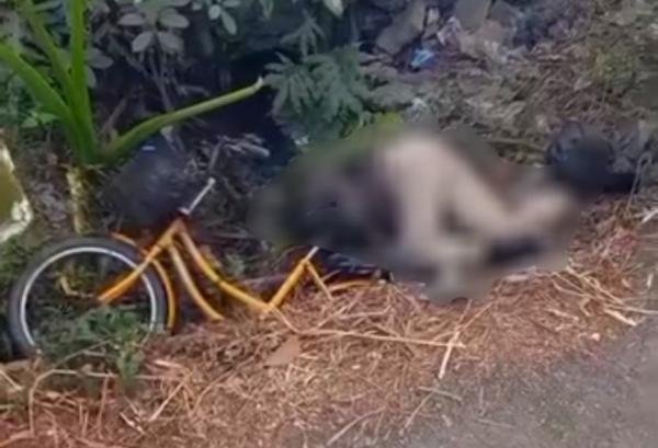 Ditabrak dari Belakang, Pesepeda 73 Tahun Tewas di Jalan Raya Bojonegoro-Babat