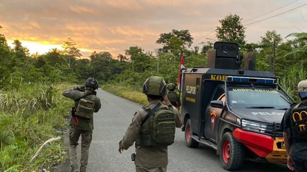 DPO KKB Yahukimo Tewas Ditembak, Satgas Damai Cartenz Akhiri Pelarian AP