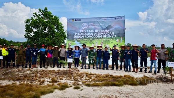 PT Timah Tanam 500 Pohon di Sempadan Sungai Romodong, Dorong Pemulihan Lahan Kritis Belinyu