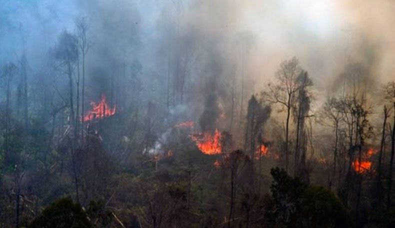 9 Titik Panas Kembali Terdeteksi di Kaltim, Ini Rincian Wilayahnya