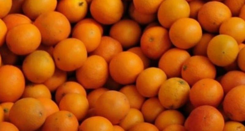 Selain Tingkatkan Sistem Imunitas Tubuh, Ini 3 Manfaat Buah Jeruk