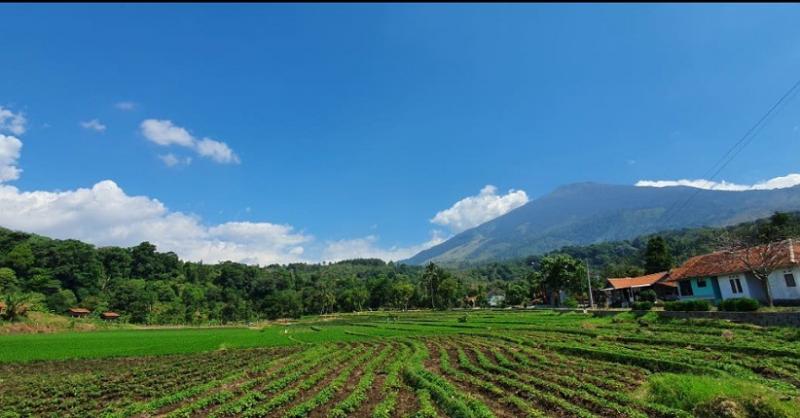 Terpikat Keindahan Desa Wisata Cibuntu di Lereng Gunung Ciremai