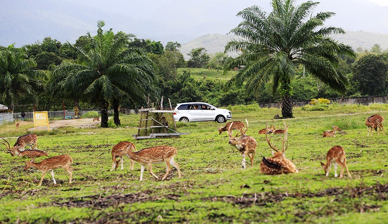 siapa pemilik taman safari indonesia