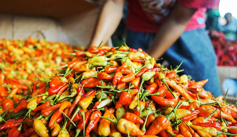 Harga Cabai Rawit Di Kupang Tembus Rp100.000 Per Kg, Ini Penyebabnya ...