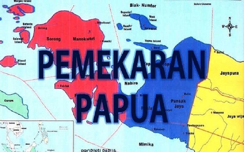 Kenapa Papua Diberi Otonomi Khusus Dan Kini Jadi 6 Provinsi ? Ini ...