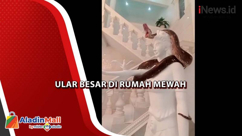 Dikira Hiasan, Ular Besar jadi Penjaga Pagar Rumah Mewah di Garut