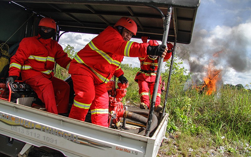 BNPB Sebut 6 Provinsi Langganan Bencana Kebakaran Hutan Dan Lahan, Ini ...