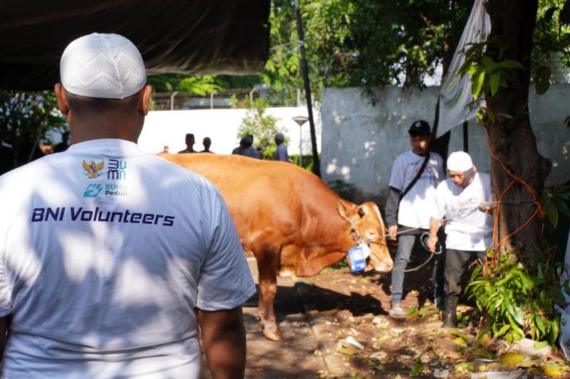 Iduladha 1447 H, BNI Distribusikan 1.200 Hewan Kurban ke Berbagai Daerah Indonesia