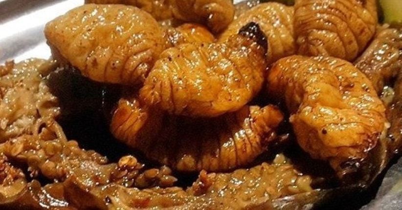 Ulat Sagu Kuliner Ekstrem Papua Dipercaya Tambah Keperkasaan Pria