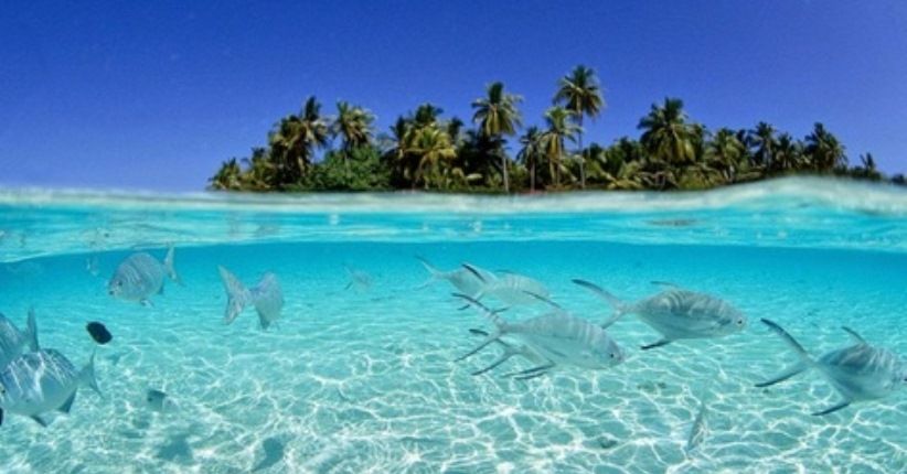 Selain Festival Teluk Ambon, Maluku Miliki 23 Event Internasional